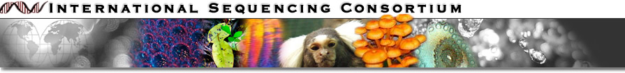 International Sequencing Consortium